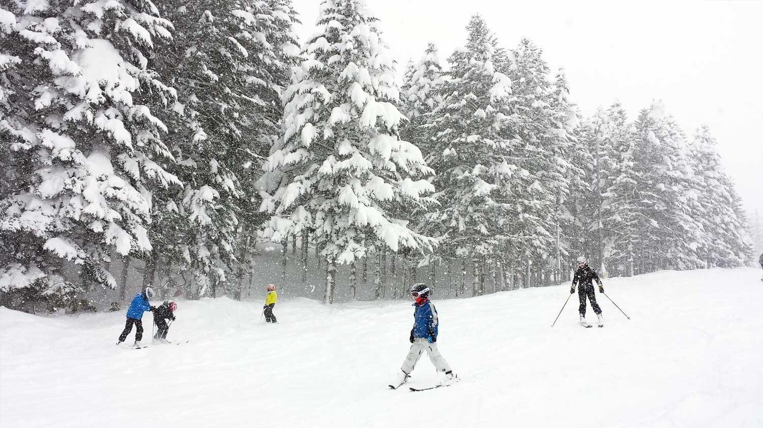 🌸 토나미 꿈의 평원 스키장 (토나미 유메노타이라 스키조) 이미지 4